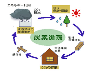 炭素の循環と木材の利用