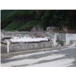 DSCF1054.JPG