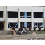 CIMG1378.JPG