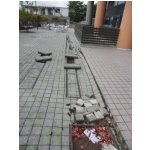 CIMG1456.JPG
