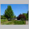 DSCN0530.JPG