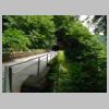 DSCN8763.JPG