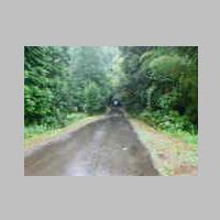 DSCN8733.JPG