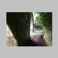 DSCN8746.JPG