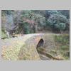 DSCN0147.JPG