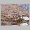DSCN6545.JPG