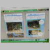 DSCN9578.JPG