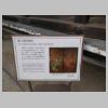DSCN9927.JPG