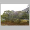 DSCN9941.JPG