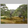 DSCN9944.JPG