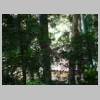 DSCN4563.JPG