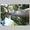 DSCN4547.JPG