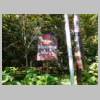 DSCN5315.JPG