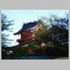 DSCN5317.JPG