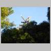 DSCN5332.JPG