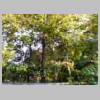 DSCN5333.JPG