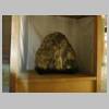 DSCN6639.JPG