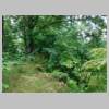 DSCN8992.JPG