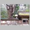 DSCN9122.JPG