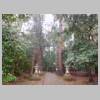 DSCN9132.JPG