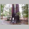DSCN9134.JPG