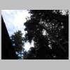 DSCN7491.JPG