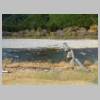 DSCN7498.JPG