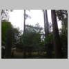 DSCN2081.JPG