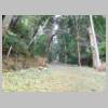 DSCN2974.JPG