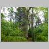 DSCN9013.JPG