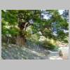 DSCN4767.JPG