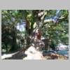 DSCN4772.JPG