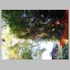 DSCN5788.JPG