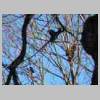 DSCN5682.JPG