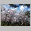 DSCN8095.JPG
