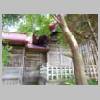DSCN0537.JPG