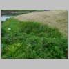 DSCN0739.JPG