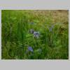 DSCN0740.JPG