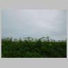 DSCN0741.JPG