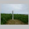 DSCN0742.JPG