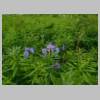 DSCN0749.JPG