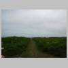 DSCN0767.JPG
