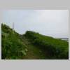 DSCN0768.JPG