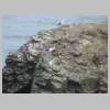 DSCN0797.JPG