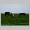 DSCN0842.JPG