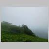 DSCN0844.JPG