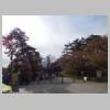 DSCN8105.JPG