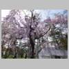 DSCN8109.JPG