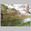 DSCN8110.JPG