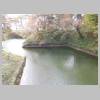 DSCN8113.JPG